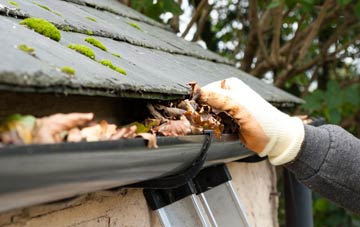 gutter cleaning Dalhenzean, Perth And Kinross