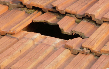 roof repair Dalhenzean, Perth And Kinross
