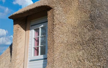 Dalhenzean thatch roof disadvantages
