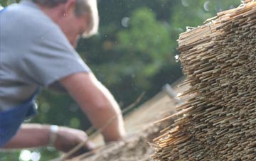 professional Dalhenzean thatchers