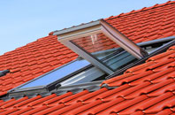 Dalhenzean roof window