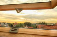 rated Dalhenzean roof window companies